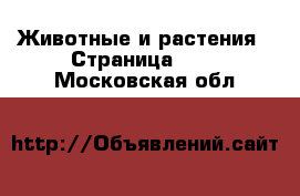  Животные и растения - Страница 167 . Московская обл.